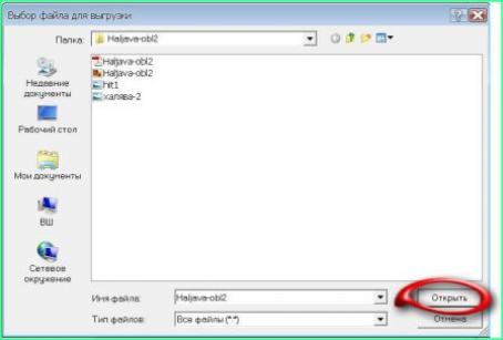rapidshare3.jpg