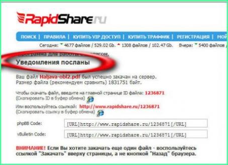 rapidshare6.jpg